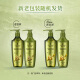 Schwarzkopf Ginger Essence Shampoo 400ml limpieza y control de aceite Flush y champú suave sin silicona champú sin silicona
