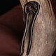 Jingruo Chinese style classical ebony hairpin U-shaped hairpin wooden hairpin headband hair accessories Hanfu peripheral Shengge (ebony)