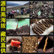 雄风道藏区雪域冬虫夏草 2根/克正宗虫草无断草礼盒装10根起拍