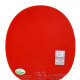 729 Raqueta de tenis de mesa Horizontalmente Single Long Many 2060 Raqueta de tenis profesional