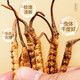 Lei Yunshang [Official] [Naru Qu, Tibet] Cordyceps gift box High-altitude dried Cordyceps gift gifts High-end wooden gift box-Give gifts 4A-level layout 15g