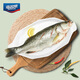 Seaview Frozen Tri-Sea Bass 880g/2 Pieces (Ingredient Pack) Marine Fish Fresh Fish Seafood