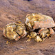 Dianyu Mingcao Wenshan Sanqi 30 Heads Spring Sanqi ausgewählte Waren Sonderklasse Tian Qitou One Jin [Jin gleich 0,5 kg] 500 g ohne Kürzungen 32