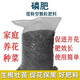 Yuntianhua Phosphate Fertilizer Granules Superphosphate General Flowering Fertilizer Household Fruit Tree Vegetable Green Plant Compound Fertilizer 100 Jin Jin equals 0.5 kg Phosphate fertilizer (high concentration) 3 Jin Jin equals 0.5 kg