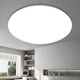Micro ceiling light LED super bright home living room bedroom kitchen lighting round staircase balcony simple 96 watts 50CM white light super bright