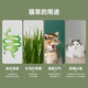 Hippie dog (hipidog) cat grass potted wheat seed nursery tray, lazy hydroponic hair ball, adult cat and kitten snacks, cat supplies, instant noodle cat grass