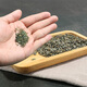 协和京品罗布麻茶新疆 罗布麻茶新疆非中药养生茶搭绞股蓝青钱柳茶叶 【压友力荐】罗布麻八罐装
