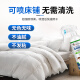 Corrected ant insecticide, ant killer, nest-end spray, household termite control special medicine bed, indoor and outdoor