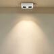 Renjuyi custom built-in ultra-thin gem lamp home living room four-head spotlight anti-glare main lamp square double-head bean gland lamp single-head white and black 12W9898 low 3000K warm light Laifude power supply
