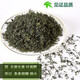 Gynostem Blue Tea siebenblatt wild wild spezielle Pingli Chinesische Kräutermedizin Qingqianliu 125G / 1 Can