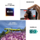 【准新品】Apple/苹果 iPhone 16 Plus（A3291）128GB 粉色 支持移动联通电信5G 双卡双待手机