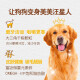 Baolu dog dry food pet dog food full price food for large adult dogs 15kg beef flavor
