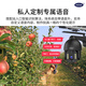 Network Eye Ultra-Clear 4G Solar Camera Outdoor Outdoor Kraftlos, kein Netzwerk, kein Verkehr, Mobiltelefon im Outdoor-Mobiltelefon Fernabbau mit hochdefinitionierter drahtloser Monitor 360 Grad ohne toten Winkel mit Nachtsicht Panoramab