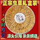 200/100/50/30 cajas de regalo para ancianos 0.5 gramos cada cordyceps de primera etapa de alta calidad 0.5 gramos cada cordiceps de alta calidad Nagqu, Tibet 100 Cordyceps de alta calidad