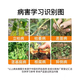 30% metalaxylin, soil disinfectant and fungicide pesticide, special medicine for root rot, blight, damping-off, 500g