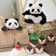 Joint Creative Panda Flower Building Block Assembly Spielzeug Model Panda Menglan Girl Desktop Orament Girl Chinese Valentinstag Geburtstagsgeschenk Gruß Blumen [983 Getreide] mit Bodenbrett
