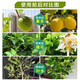 Stanley Stanley Compound Fertilizer Universal Vegetable Agricultural Flower Fertilizer Vegetable Planting Organic Fertilizer Green Plant Potted Nitrogen Phosphorus Potassium Chemical Fertilizer Instant Universal Compound Fertilizer 1Jin Jin is equal to 0.5 kg