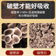 Aodong Breaking Wall Ganoderma Lucidum Spore Pulver verstärkt die Immunität 0,9g*60/Bag*3 Kisten Ganoderma lucidum Pulver verstärkt die Immungesundheitsprodukte
