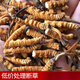 The Lord of Night Cordyceps sinensis dried goods Authentic Cordyceps sinensis Cordyceps sinensis large broken grass succulent festival Selected 1 bottle 1g Selected large broken grass experience package