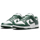 Nike NIKE men's casual shoes DUNK cushioning comfortable retro sneakers DD1391-101 white 42