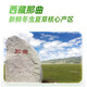 
Shengdikang Tibet 2025 Wild First Fresh Cordyceps Cordyceps Tonic Gift [SF Air Freight] 1.0g/root 10 packs