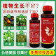 14 Hydroxybrassinolide Sterol Shuofeng 481 Fruit and Vegetable Antidote for Plant Growth Regulator to Preserve Flowers and Fruits 1000ml or 2 bottles of 500ml