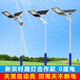 Xinguangda Solar Street Light Outdoor Street Light Pole Complete Set New Rural Telephone Pole High Power Solar Lighting 6 Meter Solar 6 Meter 200 Watt Complete Set