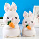 El nuevo Banco de Piggy de Niños y Niñas a prueba de otoño de Rabbit Piggy Bank se puede depositar y retirar el Zodiac Rabbit Internet Celamentos de celebridades de 18 cm Modelo medio de conejo Glutinoso Douyin