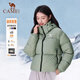 Camel Black Diamond 3.0 Short Down Jacket Women's Winter New Warm Windproof Hooded Down Jacket Bread Jacket