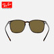 Lunettes de soleil de la mode Rayban (Rayban).