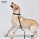 DOGNESS Dog Leash Dog Leash Dog Chain Collar Large Dog Alaskan Samoyed Husky Black XL