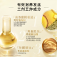 欧莱雅大金瓶洗发水护发素柔顺顺滑改善干枯发洗发露洗护套装440ml*2