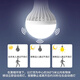 Zhenniu voice-activated light induction light corridor E27 screw human body induction light people walking light extinguishing garage corridor aisle night light radar induction light-12W-white light