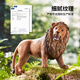 
Lebeifu simulated animal model toy set zoo tiger wild farm boy birthday 61 Children's Day gift