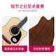 
Saga (SAGA) SF600 Folk Guitar Beginner Electric Box Guitar Introduction to Men and Women's Special Acoustic Guitar Intelligence Bureau SA600C/40 inch/A barrel/log