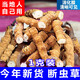 The Lord of Night Cordyceps sinensis dried goods Authentic Cordyceps sinensis Cordyceps sinensis large broken grass succulent festival Selected 1 bottle 1g Selected large broken grass experience package