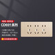 
DELIXI socket panel concealed CD691 series 118 type two-position five-hole 10-hole socket panel champagne gold type 118 type fifteen-hole