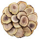 SHENQINGTANG CUNTLA DE CUNTRES DE CERNO 50G/BOTOR BOTALLA SELECCIÓN CANTANCE CANTRAS DE CUNTA CHANGBAISHAN PULLACIÓN Y VINO CORTE PARA DAR GARDOS A LOS CONTRES DE CERNAS