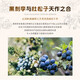 萨格利【国际金奖】荷兰原瓶进口干金酒金汤力琴酒杜松子酒洋酒调酒基酒 萨格利黑刺李金酒 700mL 1瓶