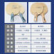 729 Amistad 729 Base de la raqueta de tenis de mesa Azul Llama de carbono Amarillo Llama de carbono Profesional Table Table Tennis PAQUETE RÁPIDO PAQUETE DE CARRA DE ALCA AZUL