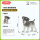 Schleich S simulation animal model cat dog boy girl children toy gift enlightenment cognition 3+ mini schnauzer 13892