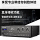 depusheng DS2000 KTV功放大功率一键防啸叫蓝牙USB带混响专业效果芯片舞台家用家庭卡拉OK功放机