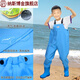 Children's water play one-piece waders, kindergarten water clothes, sea children's rain boots, men's and women's fish catching rain pants, beach, children's sky blue suspenders, 24 shoes, inner length 15cm