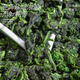 Yinlang Oolong Tea Anxi Tieguanyin 500g 2025 new tea authentic orchid fragrance wooden barrel tea gift box