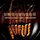 Crystal grass Cordyceps sinensis 2 roots/g1g broken grass About 4 roots High clean and pure all-phase Cordyceps sinensis recommended to eat high cost performance