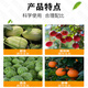 Guoguang Chloropyramide Biuret is an excellent fruit-setting medicine for watermelon, kiwi and grapes to increase the production of large fruit enlarging agent and regulator 100ml*5 bottles