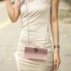 Sephoron Double 11 Elegant Evening Dress Clutch 2025 Lady Bag with Cheongsam Elegant Banquet Clutch Silver