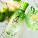 Jifan Gin Vin, French Original Bottle Importé Vin étranger, cocktail Mélange de mélanger vin Vin Gin Gin, Gin Gin Vin, auto-alimentation Jifan Tenghua Gin Wine 700ml * 1 Bouteille