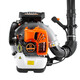 Stiefel-Treibhaus-Schneegebläse Feuerwehrleiter Feuerlöscher Staubgebauungsstelle Gebläse Hochleistungs Hochleistungs-Zwei-Takt-High-End-EB9757,0 PS
