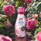 
Kao (KAO) laundry detergent clothing color protection and stain removal and long-lasting softener to retain fragrance rose lily of the valley fragrance imported from Japan Rose fragrance formal wear 690g + replenishment 900g*2